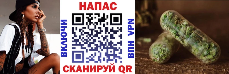 Конопля конопля  Приволжск 